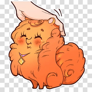 Whiskers Cat Dog , Cat transparent background PNG clipart thumbnail