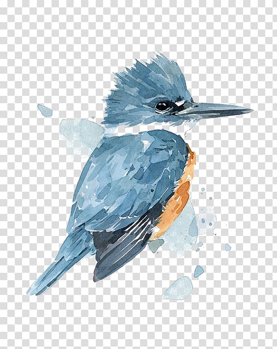 gray bird painting, Watercolor painting Belted kingfisher Drawing, Blue Birds transparent background PNG clipart