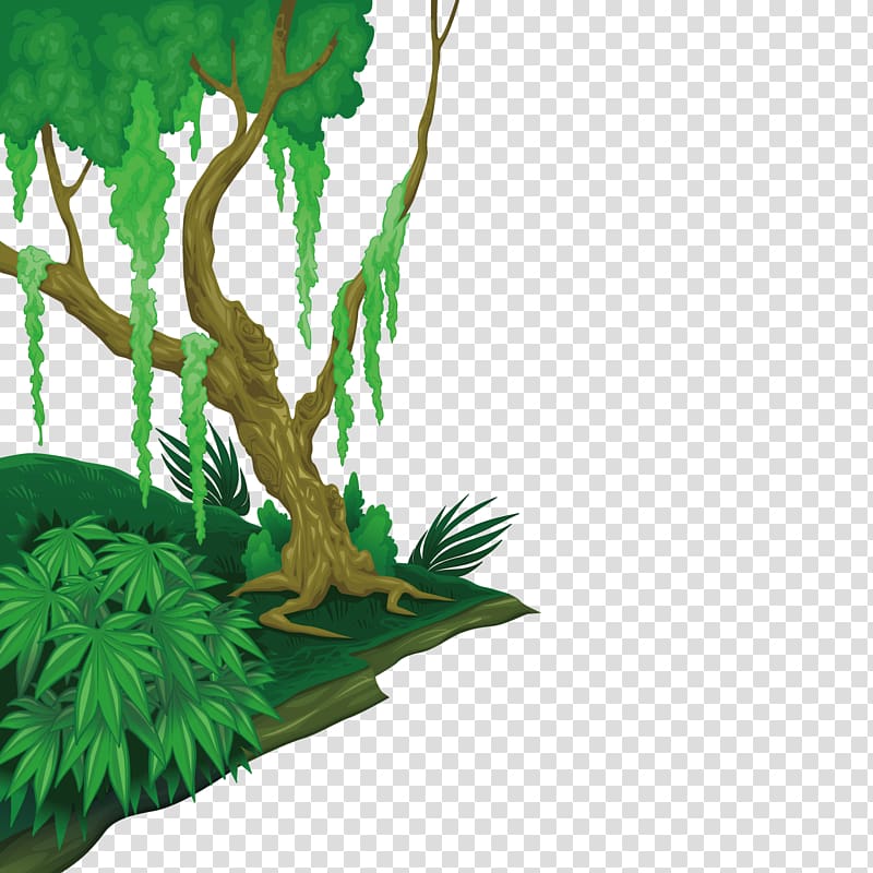 Forest, green forest transparent background PNG clipart