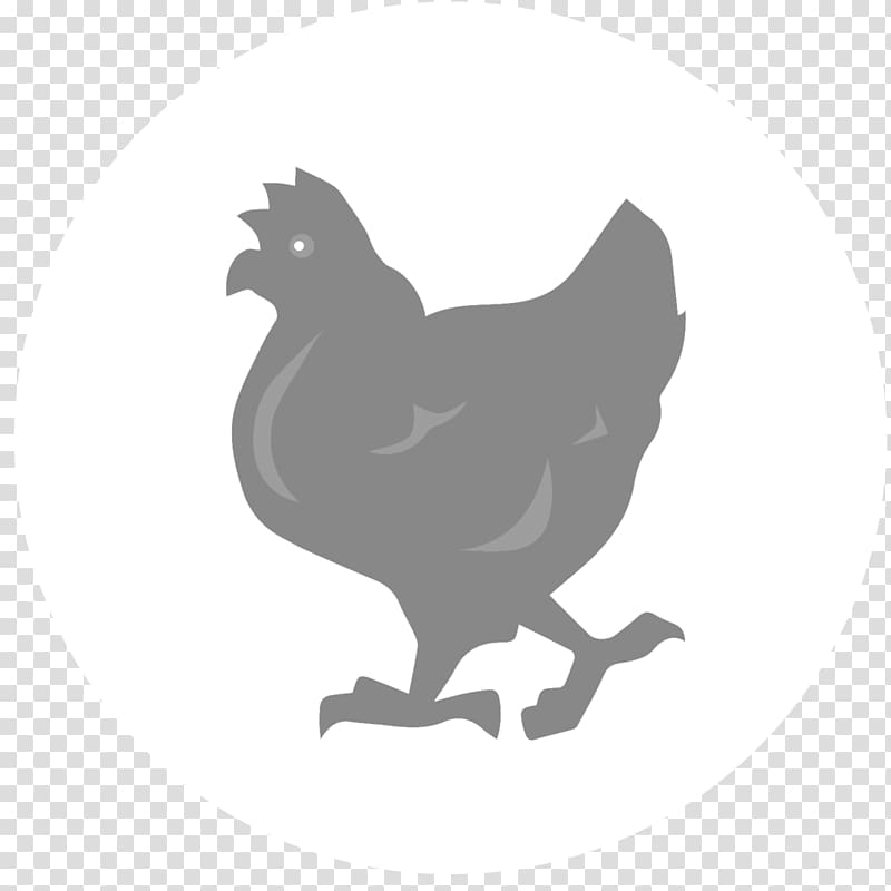Rooster Chicken as food Fauna Silhouette Black, single vs married hen hen transparent background PNG clipart