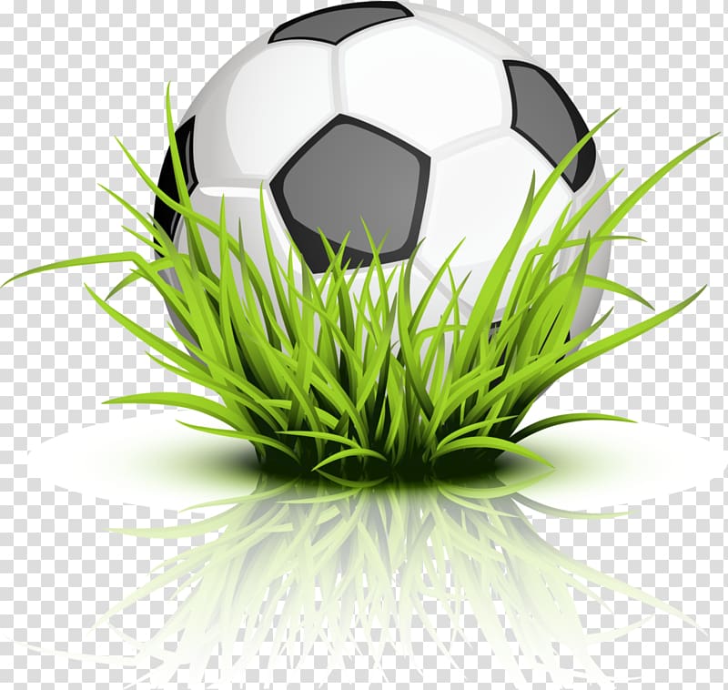 The Tree Frog , soccer ball transparent background PNG clipart