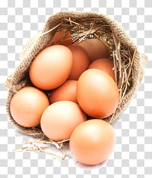 White Egg Tray Png Transparent PNG - 600x600 - Free Download on NicePNG