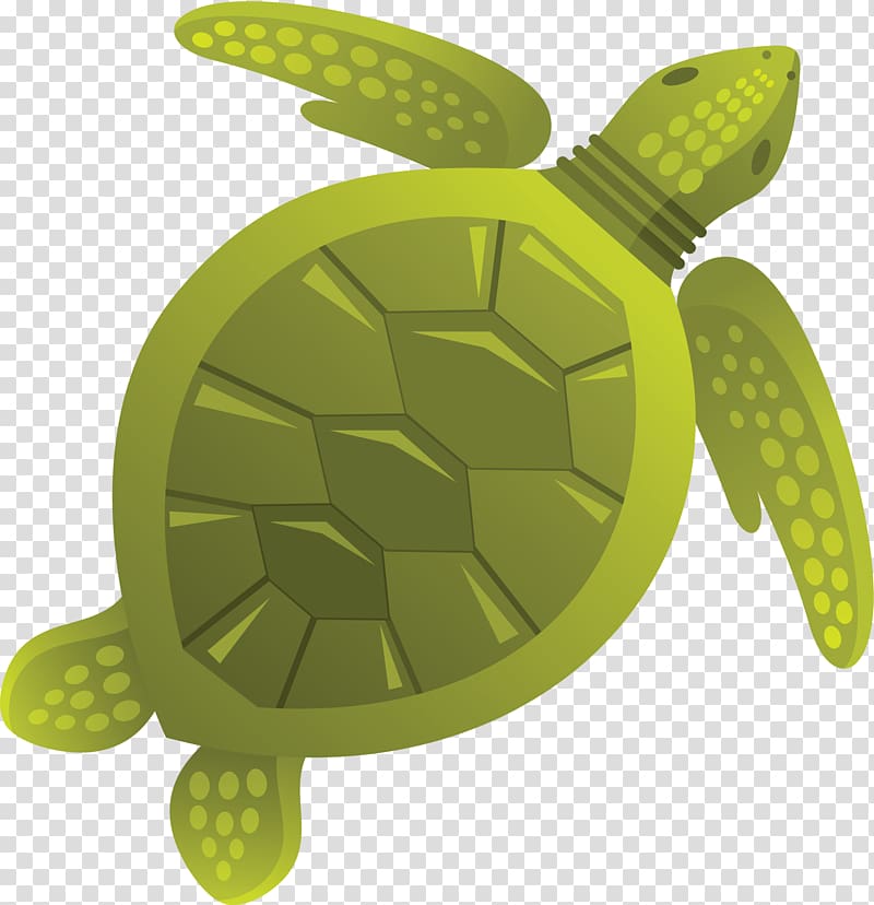 Sea turtle Tortoise Jellyfish , turtle transparent background PNG clipart