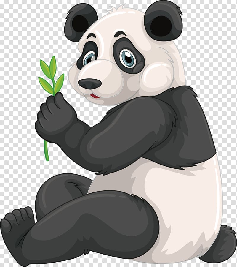 Giant panda Red panda Cartoon Drawing, Bamboo Panda transparent background PNG clipart