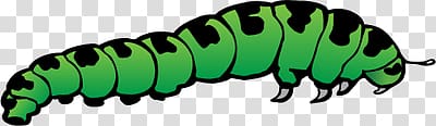 Caterpillar transparent background PNG clipart