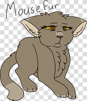 Whiskers Cat Lion Mammal , Cat transparent background PNG clipart thumbnail