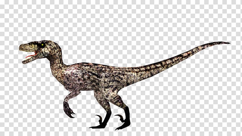 Velociraptor Zoo Tycoon 2 Deinonychus Jurassic Park, Zoo Tycoon 2 transparent background PNG clipart