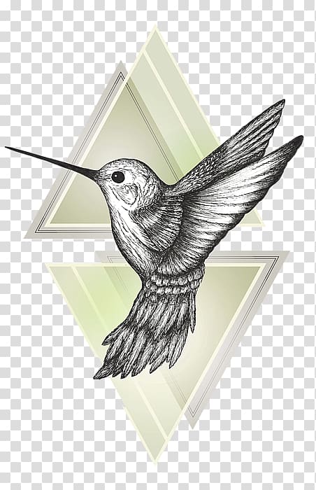 Hummingbird Drawing Art, hummingbird transparent background PNG clipart
