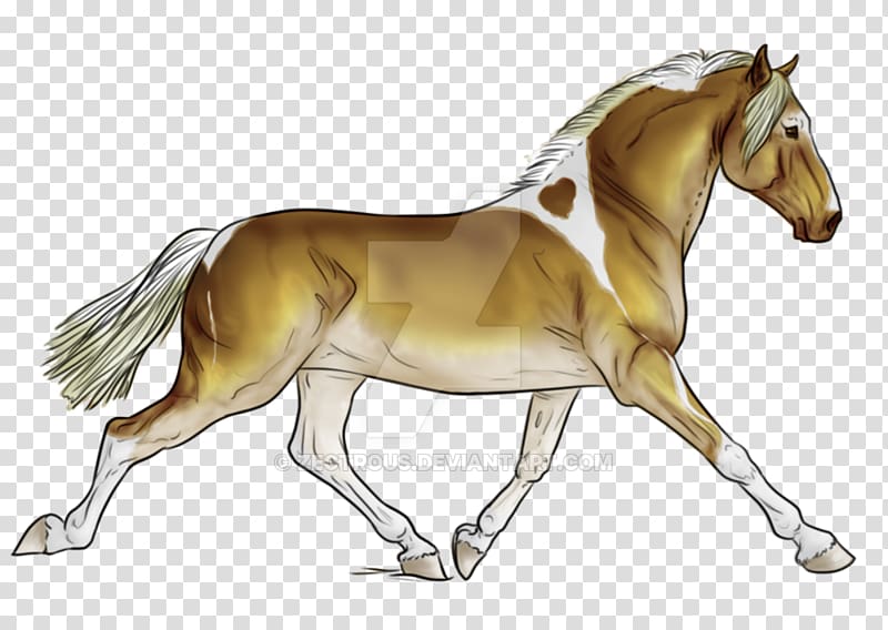 Foal Stallion Mustang Mare Pony, minimal tobiano transparent background PNG clipart
