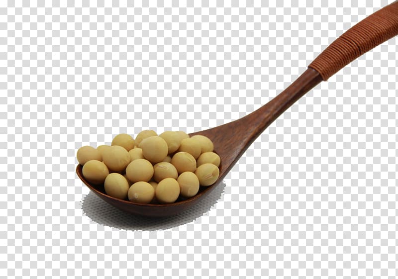 Soybean Soy protein Ingredient Eating Spoon, A spoon soy transparent background PNG clipart