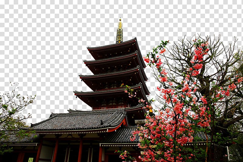 Sensu014d-ji Tourist attraction, Japan Sensoji Temple transparent background PNG clipart