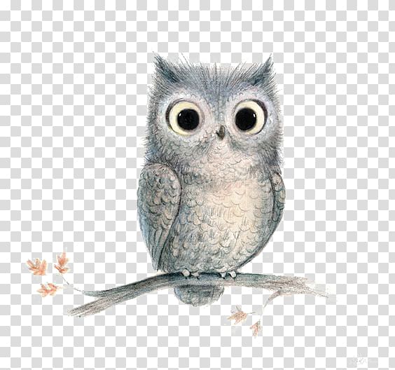 owl on tree illustration, Barn owl Bird , owl transparent background PNG clipart
