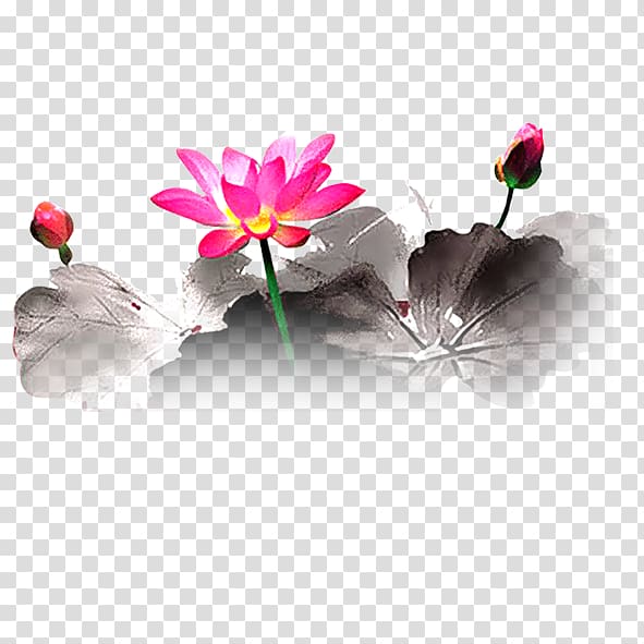 Floral design Petal Heart Flowering plant, lotus transparent background PNG clipart