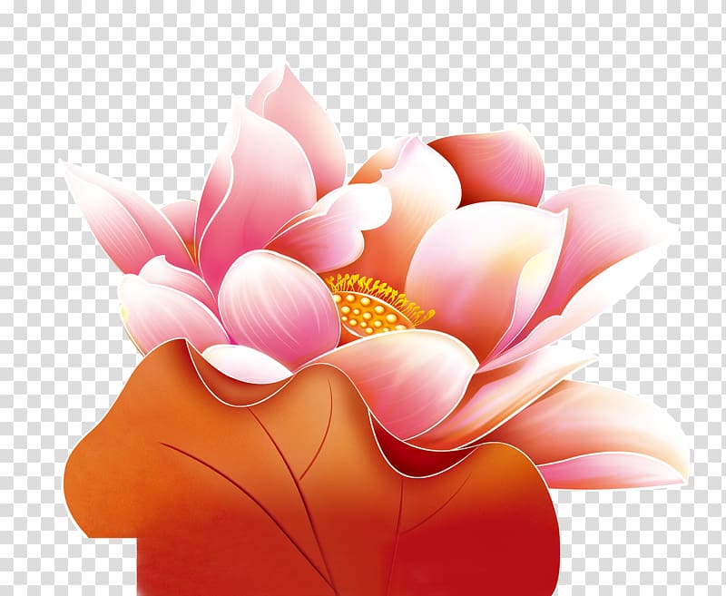 China , Lotus transparent background PNG clipart