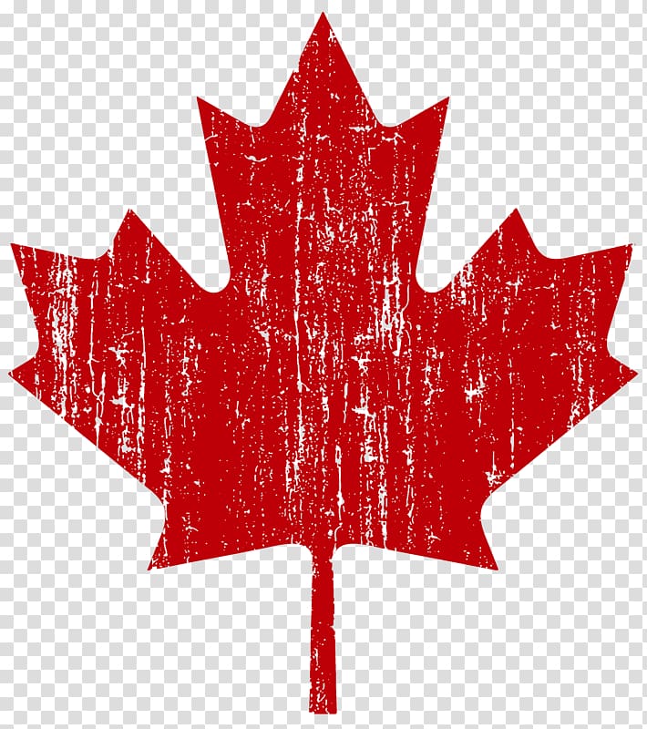 Flag of Canada United States Thornton Grout Finnigan Maple leaf, united states transparent background PNG clipart