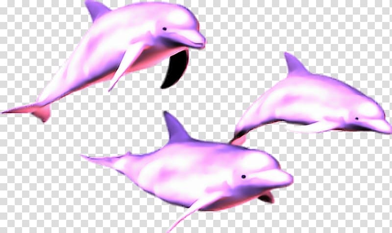 Vaporwave Dolphin Portable Network Graphics , dolphin transparent background PNG clipart