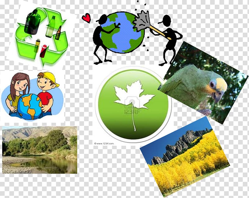 Conservation movement Natural environment Nature Natural resource, collage transparent background PNG clipart