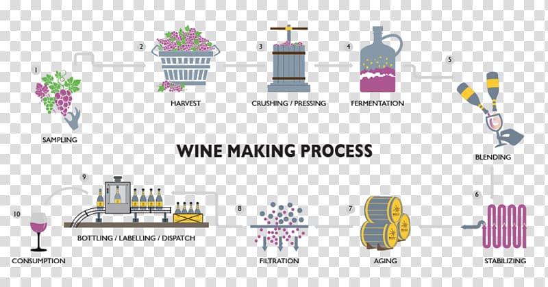 Winemaking Sula Vineyards Indian wine Red Wine, Production Process transparent background PNG clipart