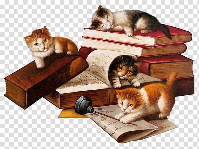 Cat Literature Romanticism Drawing Literary realism, Cat transparent background PNG clipart