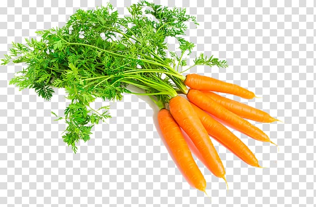 Carrot Vegetable Food Root Oil, carrot transparent background PNG clipart