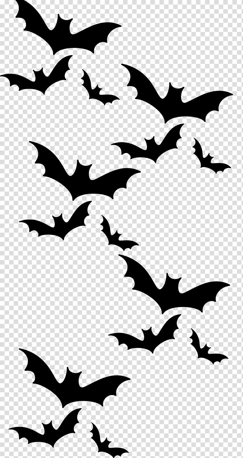 Bat Beak Flora Fauna , bat transparent background PNG clipart