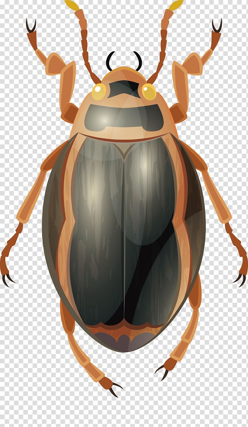 Insect Dung beetle, Insect transparent background PNG clipart
