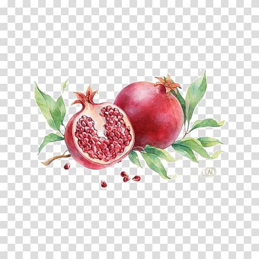 Pomegranate Fruit Red, Watercolor Pomegranate transparent background PNG clipart
