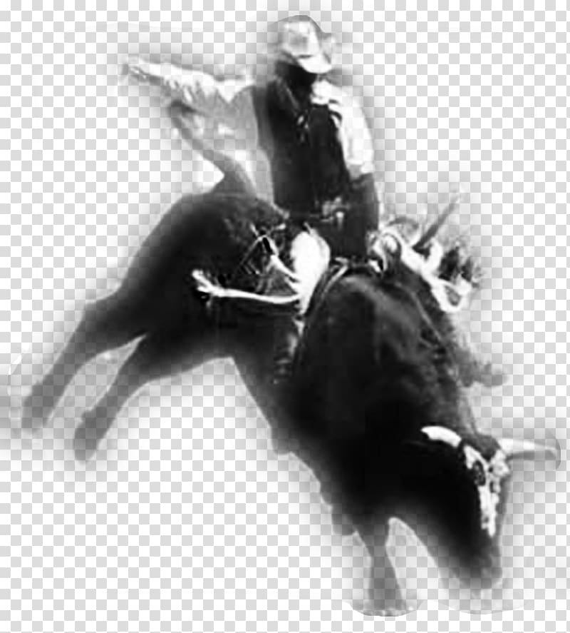 Bull riding Rodeo Professional Bull Riders Horse, bull transparent background PNG clipart
