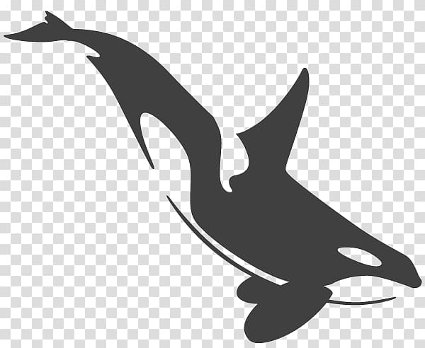 Killer whale Cetaceans Tattoo Toothed whale, killer whale transparent background PNG clipart