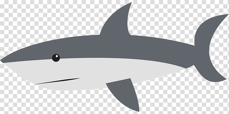 Shark Jaws Tiger shark Drawing , Swimming shark transparent background PNG clipart