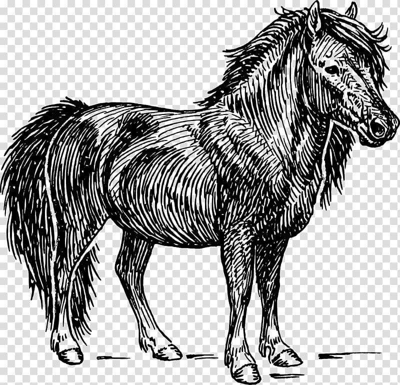 Shetland pony American Miniature Horse graphics, Pony Carousel transparent background PNG clipart