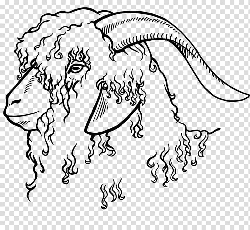 Angora Goat Sketch Vector:: tasmeemME.com