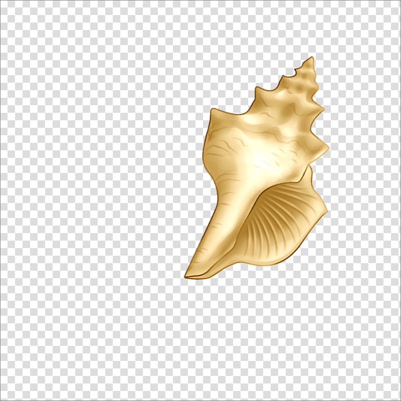 Beach Sea snail Seashell, conch transparent background PNG clipart
