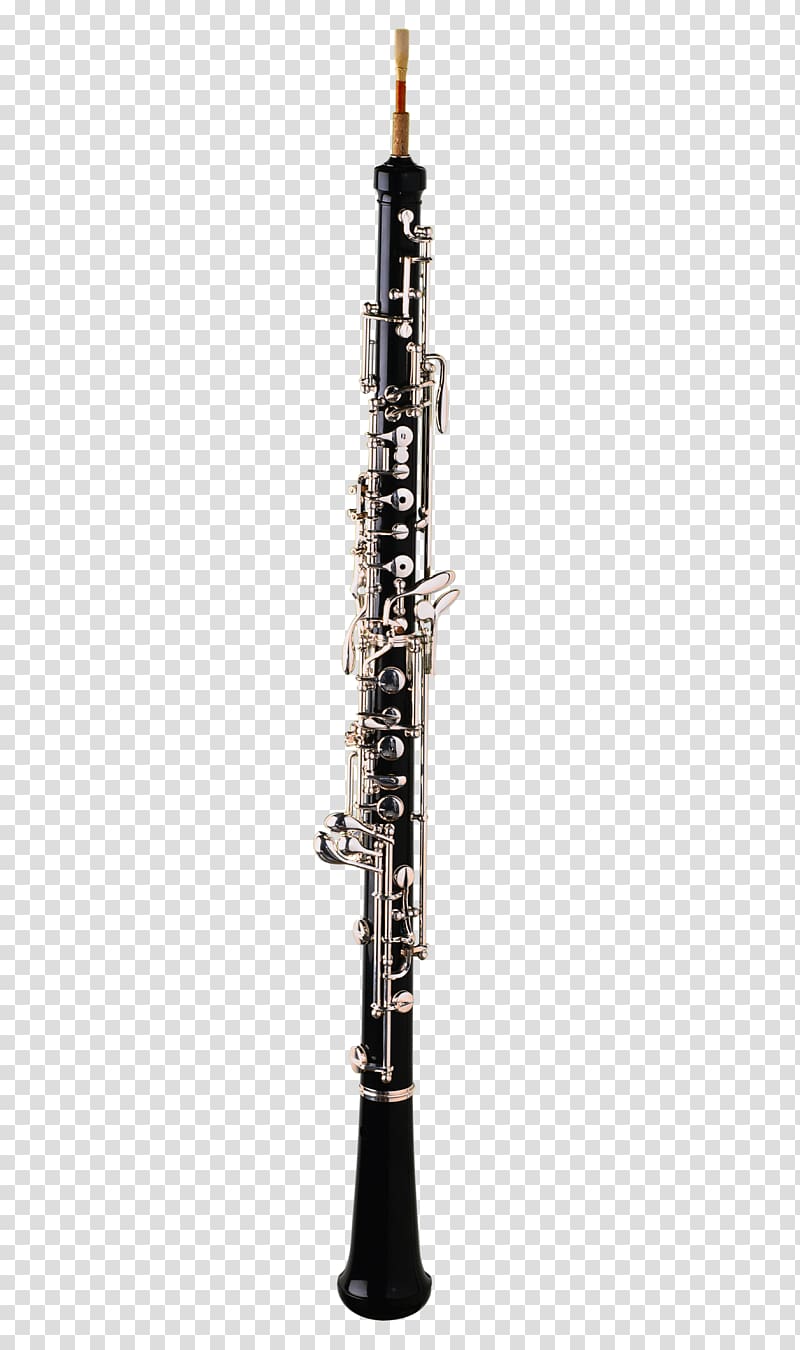 instruments bassoon transparent background PNG clipart