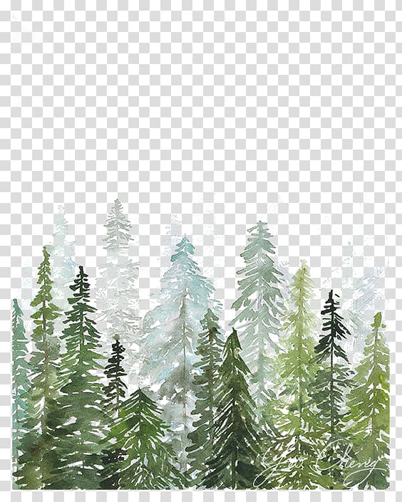 Watercolor painting Printmaking Printing Drawing, Watercolor woods, pine trees painting transparent background PNG clipart