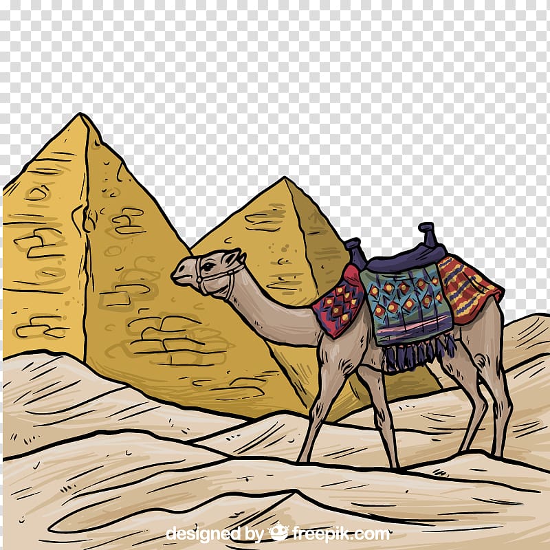 Egyptian pyramids Bactrian camel Ancient Egypt Illustration, Egyptian pyramids and camel colored material transparent background PNG clipart