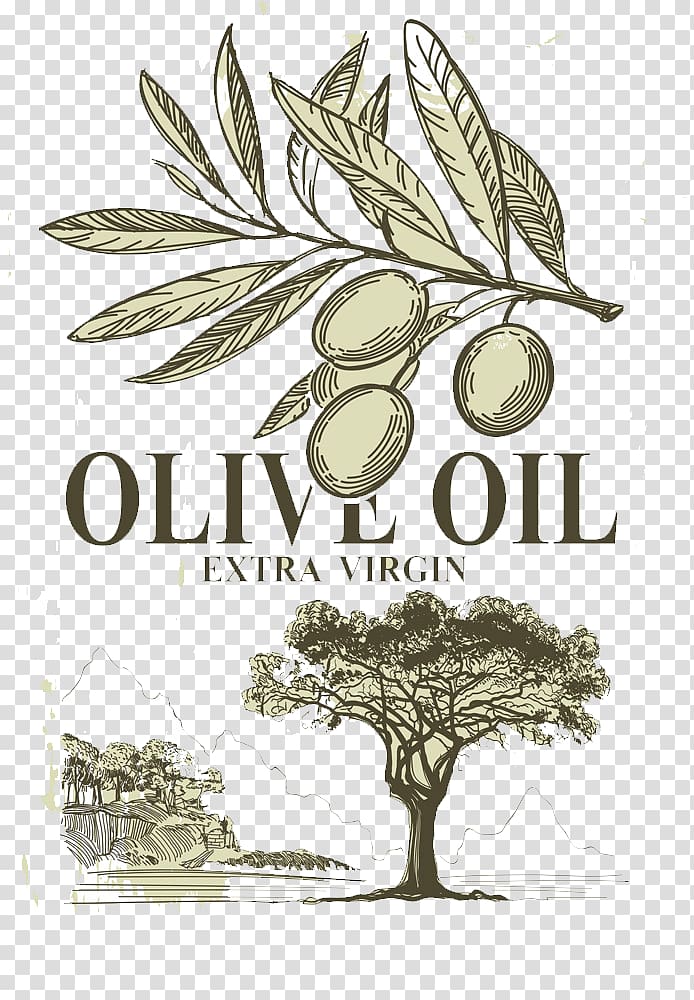 Olive Oil Extra Virgin illustration, Olive oil Italian cuisine, Hand-painted olives transparent background PNG clipart