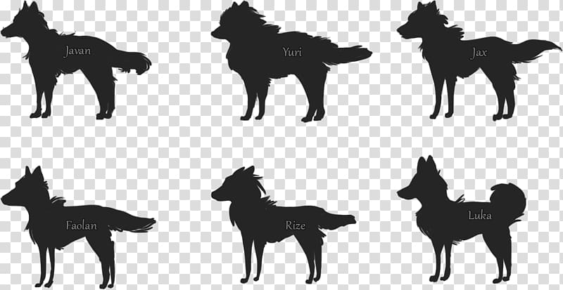 Gray wolf Silhouette Schipperke Dog breed Drawing, Silhouette transparent background PNG clipart
