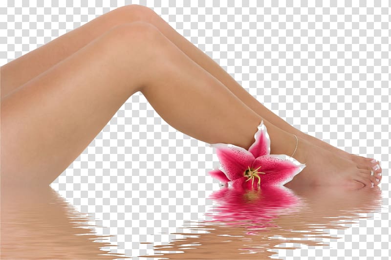 Bikini waxing Human leg Hair removal Beauty Parlour, legs transparent background PNG clipart