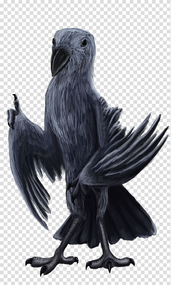American crow Common raven Eagle Vulture Beak, eagle transparent background PNG clipart