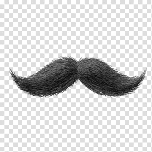 World Beard and Moustache Championships Handlebar moustache Black hair, moustache transparent background PNG clipart