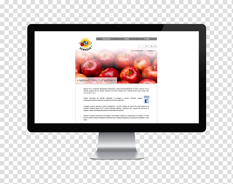 Responsive web design Direct marketing Display advertising Email marketing Mobile marketing, design transparent background PNG clipart