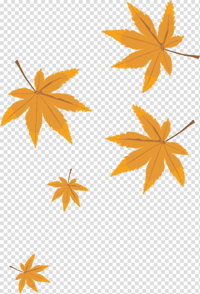 brown cannabis plant , Leaf Cartoon, Autumn leaves material transparent background PNG clipart