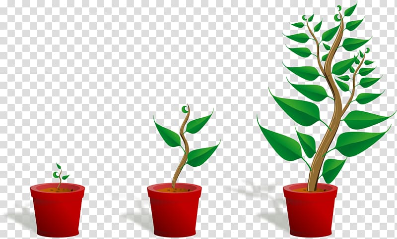 Bonsai Seedling Computer file, Potted plants transparent background PNG clipart