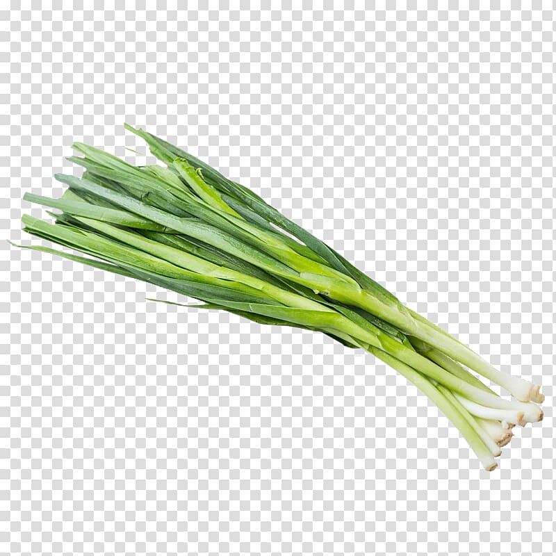 Edamame Garlic Vegetable Bean, Creative garlic transparent background PNG clipart
