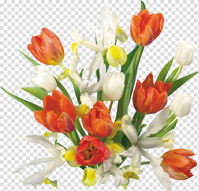 International Women's Day 8 March Ansichtkaart Holiday , others transparent background PNG clipart