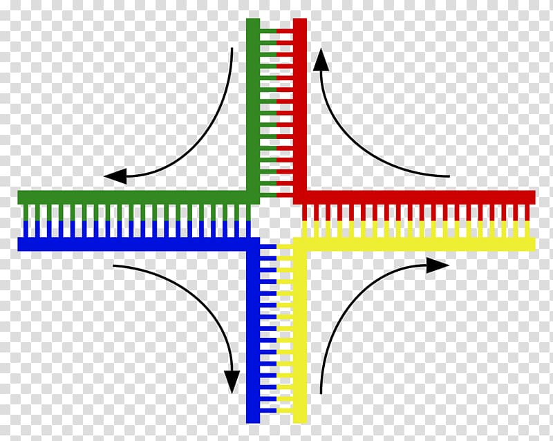 Holliday junction DNA Chromosomal crossover Cruciform Genetics, hollidays transparent background PNG clipart
