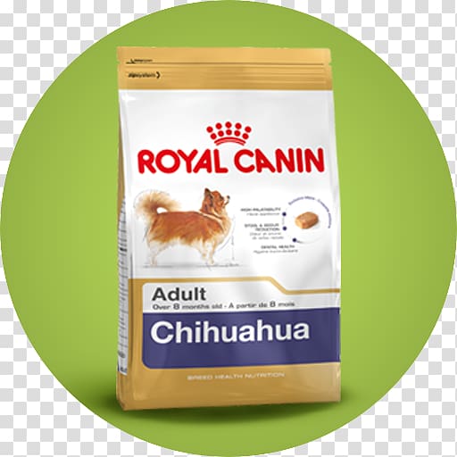 Chihuahua Puppy Dog Food Cat Food Royal Canin, puppy transparent background PNG clipart