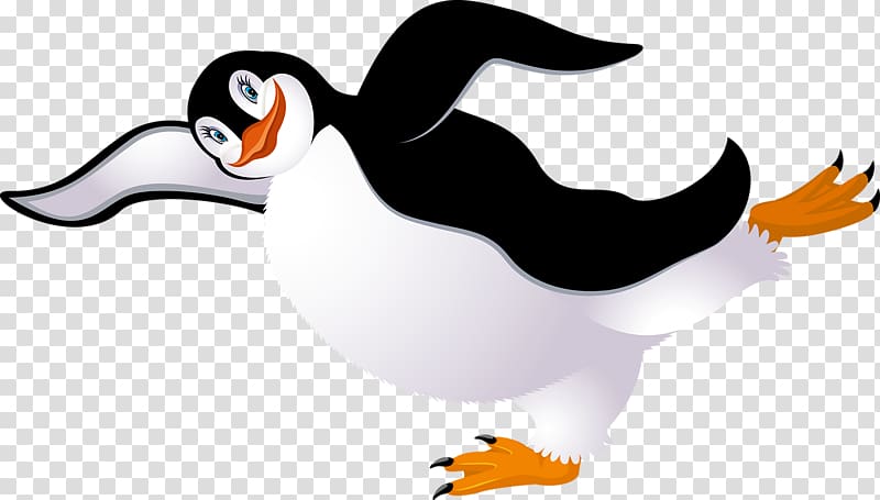 Penguin Bird , Cute penguin transparent background PNG clipart