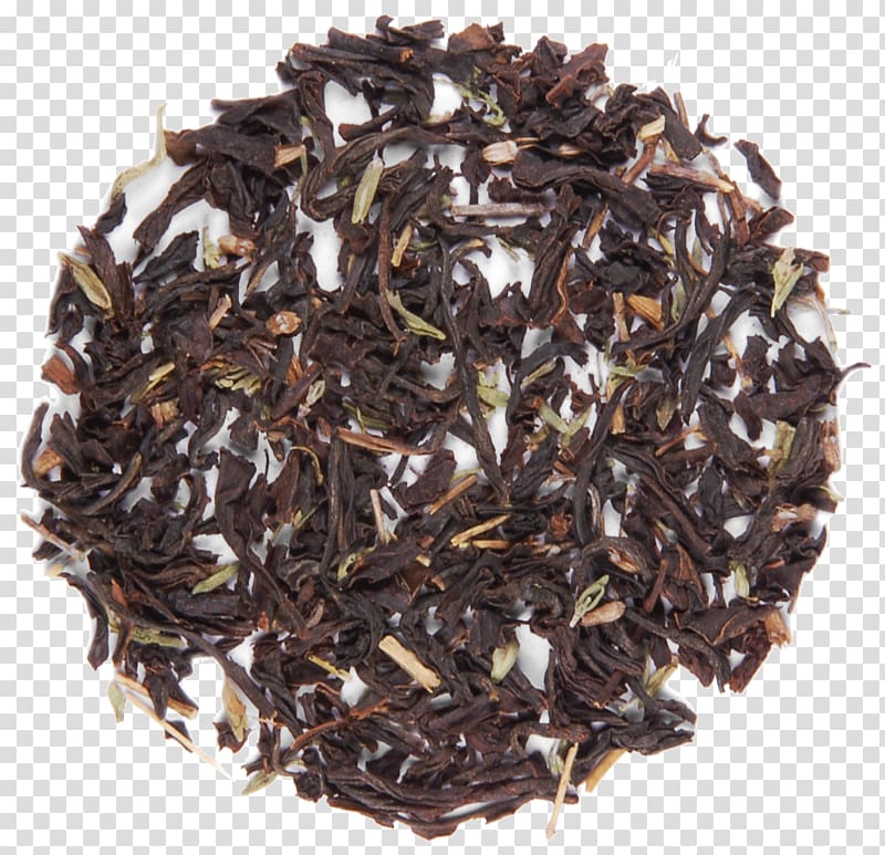 Darjeeling tea Oolong Wuyi tea Lapsang souchong, tea transparent background PNG clipart